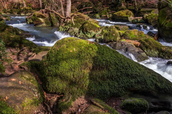 Deutsch Luxemburgischer Naturpark Irrel Wasserfälle Deutschland — Stockfoto