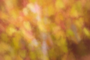 Bulanık arkaplan, bulanık arkaplan efekti.