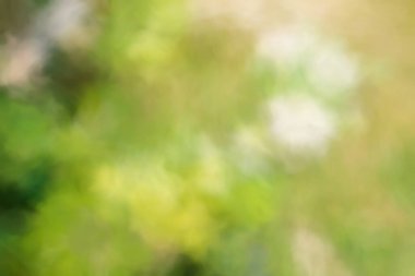 Bulanık arkaplan, bulanık arkaplan efekti.