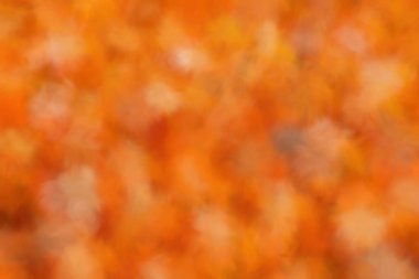 Bulanık arkaplan, bulanık arkaplan efekti.