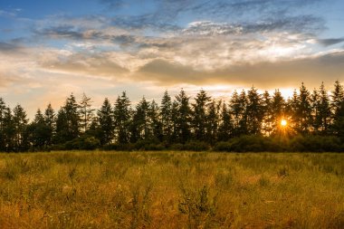 Sonbaharda gün batımı, ağaçların arkasında güneş