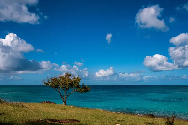Antigua Daki Karayip Plajı — Stok fotoğraf