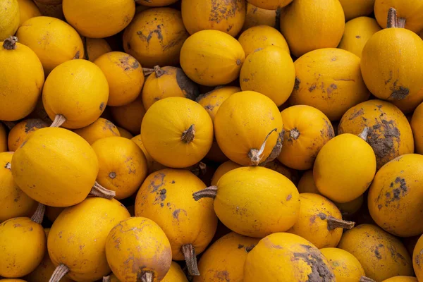 Calabazas Amarillas Recién Recogidas — Foto de Stock