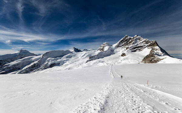 The Aletsch Glacier Switzerland.