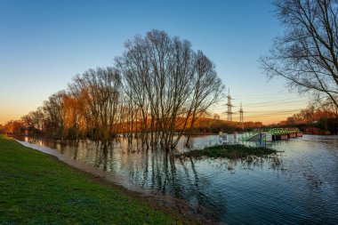 Leverkusen, Almanya yakınlarındaki Ren Nehri 'nde sel.
