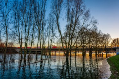 Leverkusen, Almanya yakınlarındaki Ren Nehri 'nde sel.