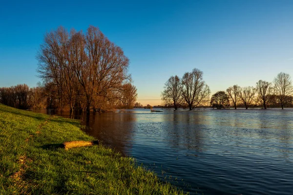 ドイツのレーバークーゼン近くのライン川の洪水 — ストック写真