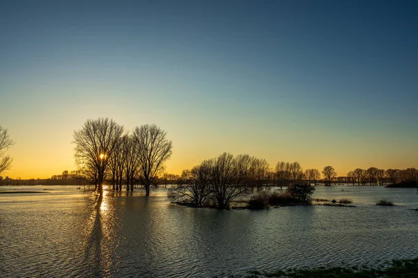 ドイツのレーバークーゼン近くのライン川の洪水 — ストック写真
