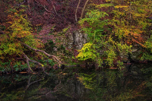 Vodní Odraz Jezeře Podzim — Stock fotografie