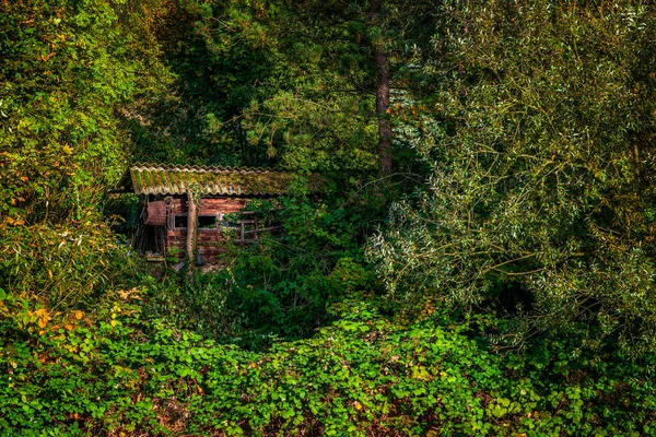 Old Forest Hut Sunlight — Stock Photo, Image