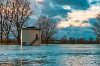 Köln, Almanya yakınlarındaki Ren Nehri 'nde sel.