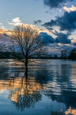 Köln ve Leverkusen, Almanya arasında Ren Nehri 'nde sel. 