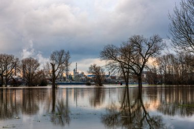 Köln, Almanya yakınlarındaki Ren Nehri 'nde sel.