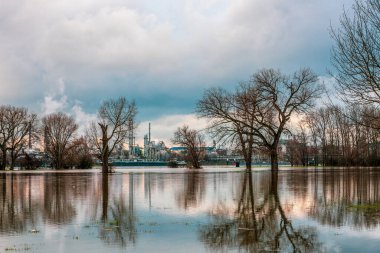 Köln, Almanya yakınlarındaki Ren Nehri 'nde sel.