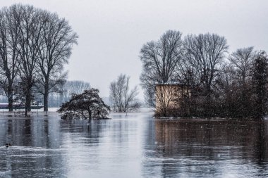 Kışın Köln yakınlarındaki Ren Nehri 'nde sel.