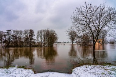 Kışın Köln yakınlarındaki Ren Nehri 'nde sel.