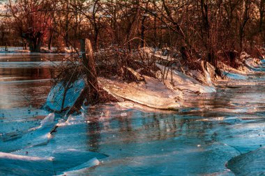 Almanya, Düsseldorf 'taki sel felaketinden sonra donmuş alanlar. 