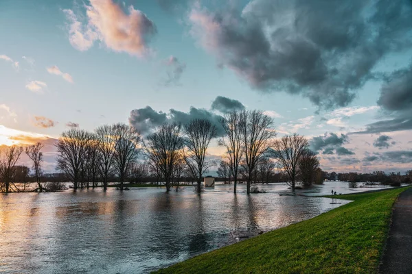ドイツケルン付近のライン川の洪水 — ストック写真