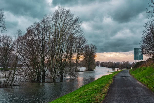 Inondation Sur Rhin Près Cologne Allemagne — Photo