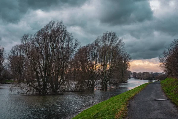 Flood Rhine Cologne Leverkusen Germany — Stock Photo, Image