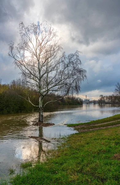 Hochwasser Rhein Deutschland Chempark Dormagen Hintergrund — Stockfoto