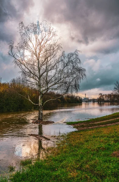 ドイツ ライン川の洪水 背景にあるケムパーク ドルマゲン — ストック写真