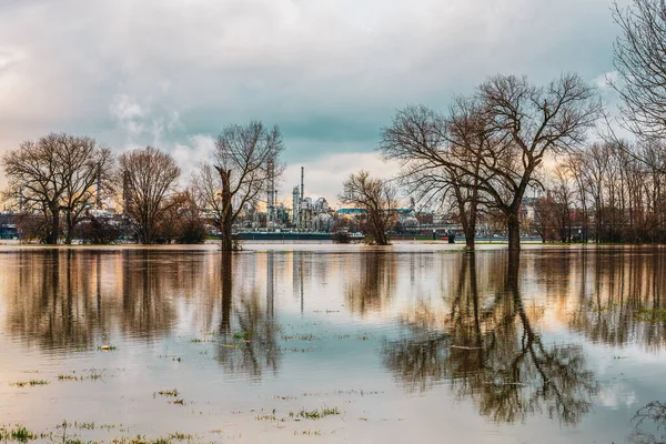 Inondazione Sul Reno Germania Chempark Dormagen Sullo Sfondo — Foto Stock