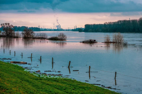 Inondation Sur Rhin Près Cologne Allemagne — Photo