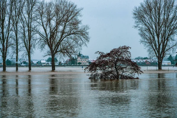 Hochwasser Rhein Bei Köln Winter — Stockfoto