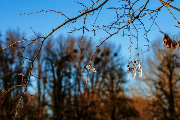 Icicles Coloridos Pela Luz Solar — Fotografia de Stock