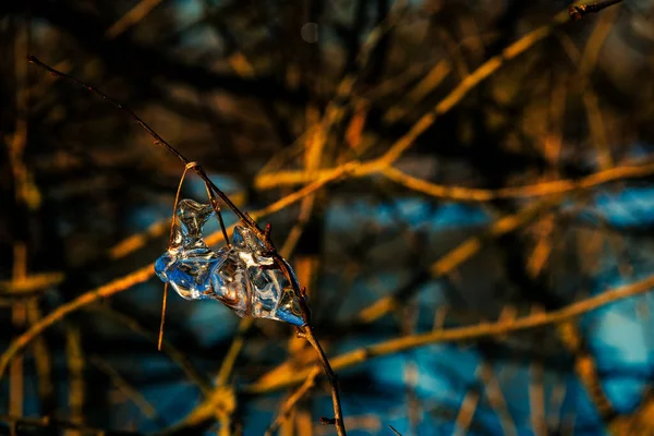 Glaçons Éclairés Par Les Rayons Soleil — Photo