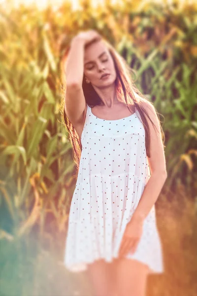 Junge Schöne Frau Weißem Kleid Maisfeld — Stockfoto