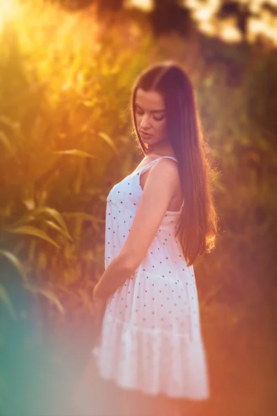 Молодая Красивая Женщина Белом Платье Кукурузном Поле — стоковое фото