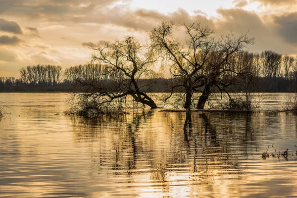 Hochwasser Rhein Deutschland lizenzfreie Stockbilder