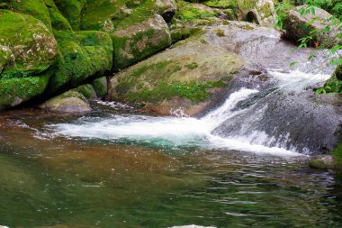 Yakushima adasının şelaleleri