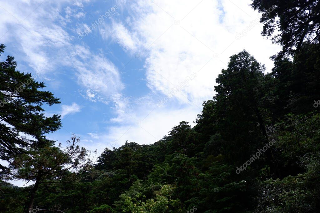 Blue sky of Yakushima island