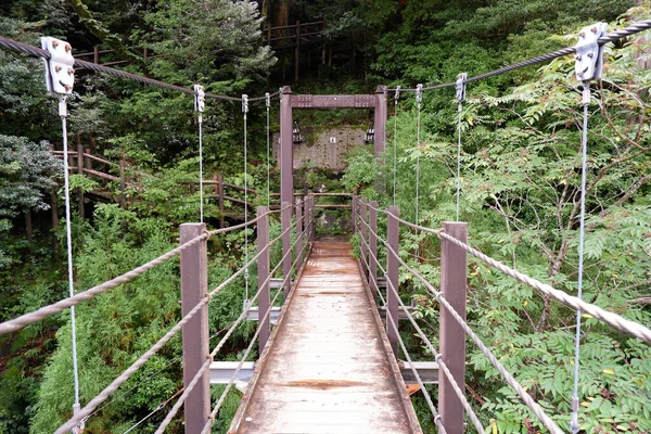 Yakushima Ormanı Ndaki Köprü — Stok fotoğraf