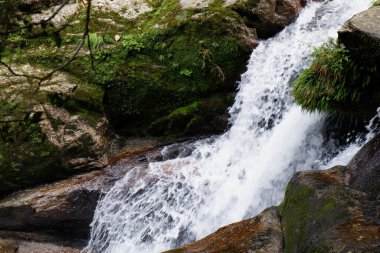 Shiratani unsuikyo, Yakushima Şelaleleri
