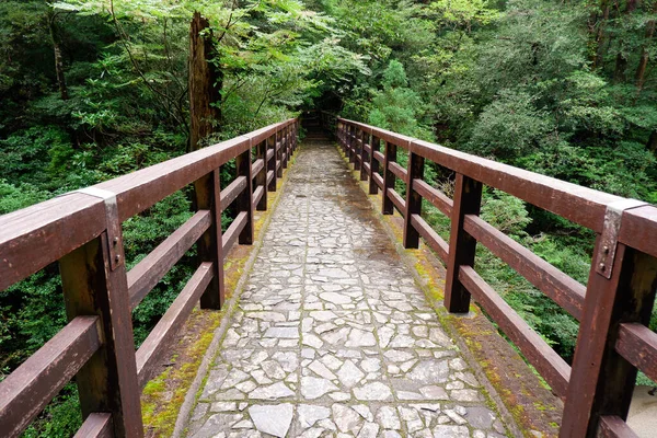 Brug Van Het Eiland Yakushima Japan — Stockfoto