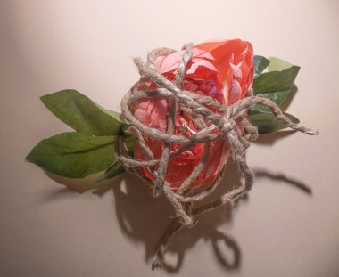 Bej arka planda sicimle sarılı pembe bir gül. Minimum düzlük.