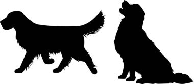 Golden Retriever, Dog, Animal, Pet, Vector Illustration File