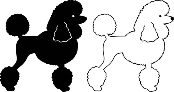 Poodle Outline Dog Animal Pet Vector Illustration File — Stok Vektör