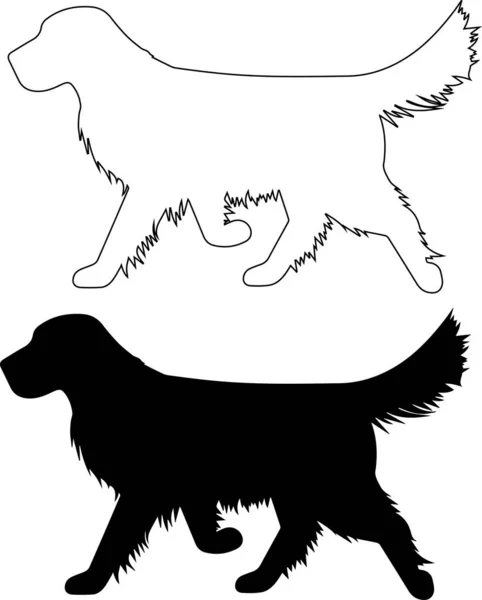 Golden Retriever Dog Animal Pet Vector Illustration File — Stockový vektor