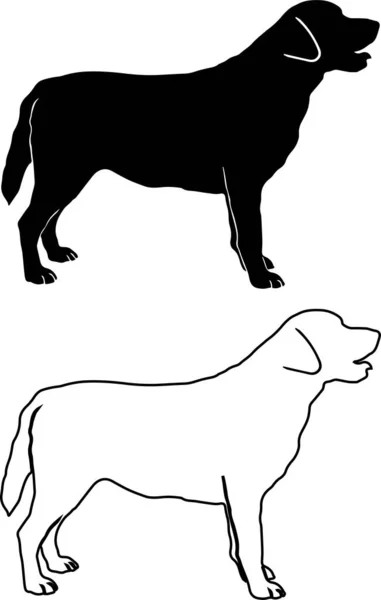 Labrador Retriever Outline Dog Animal Pet Vector Illustration File — 스톡 벡터