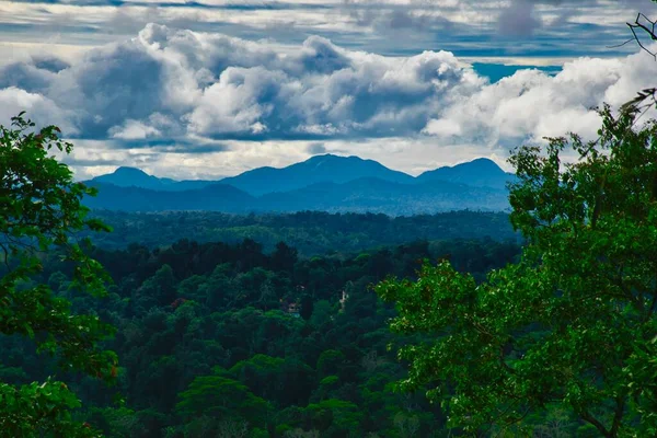 Une Vue Sur Les Ghats Occidentaux Depuis Une Plantation Café — Photo