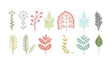 İzole edilmiş arkaplanda bitki ve tasarım elemanı taşıyıcı koleksiyonu