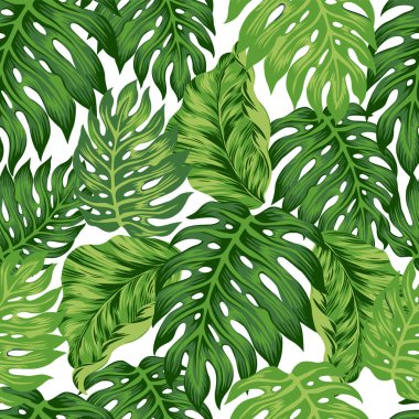 Yeşil tropikal yapraklar pürüzsüz desen arkaplanı bırakır