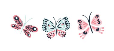 Kelebek bohçası, birinci sınıf izole edilmiş bir el kelebek vektörü klitorisi kümesi.