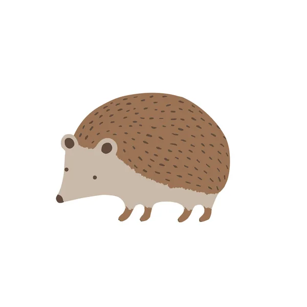 Cute Hedgehog Logotype Vector Illustration White Background — Stock Vector