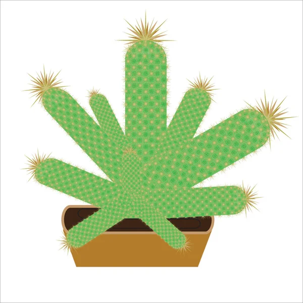 Imagen Aislada Cactus Crecimiento Sobre Fondo Blanco — Vector de stock